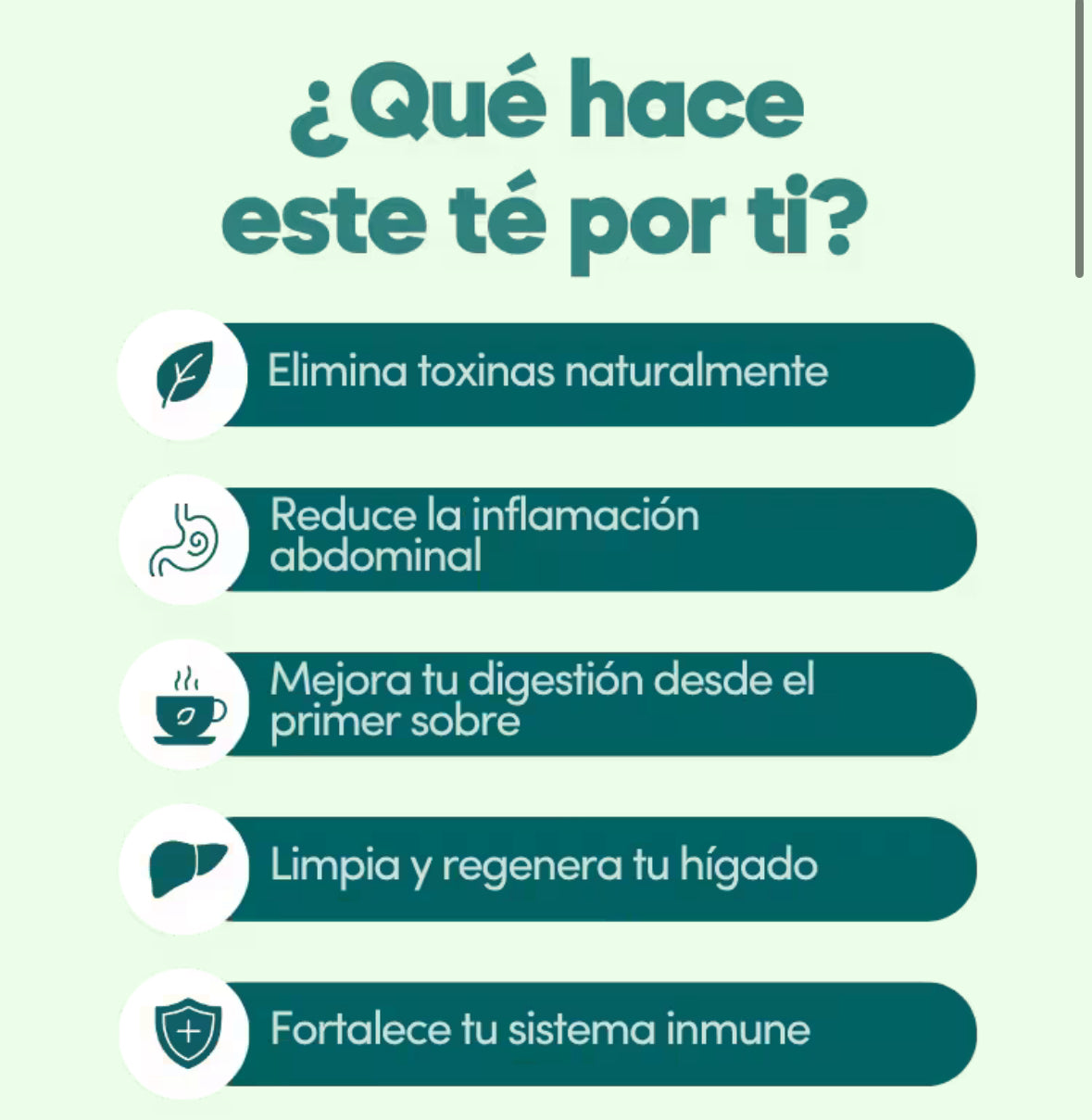 TE ZHANG CHUPA PANZA - Banner 4